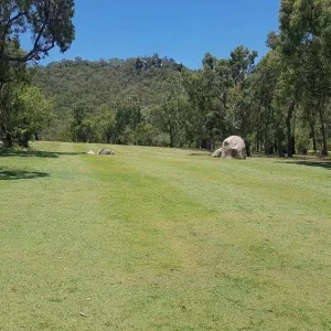 Magnetic Island Bucks Golf Trip Fairway