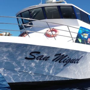 TownsvilleHensBoatPart1