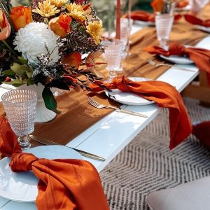 TownsvilleHensPartyBohoPicnic3