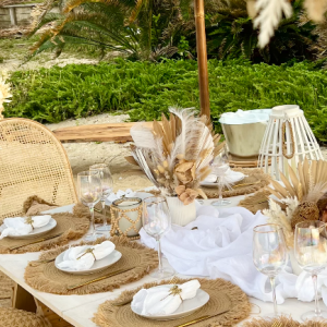 Airlie Beach Hens Picnic Package Decor Set Up